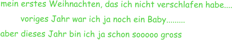 mein erstes Weihnachten, das ich nicht verschlafen habe....         voriges Jahr war ich ja noch ein Baby......... aber dieses Jahr bin ich ja schon sooooo gross